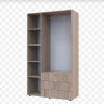 Шкаф для одежды DRS- Гелар (203,4x49,5x116,2 см) 3 дв 