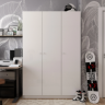 Шкаф для одежды DRS- Promo Промо (135х48х204) 3 дв графит
