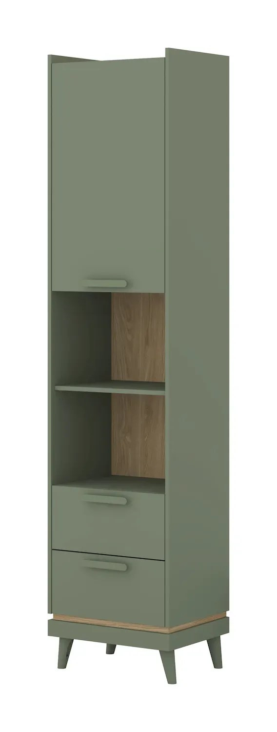 Шкаф книжный на 1 дверь с 2 ящиками Helvetia SCANDI 24D5OH88 (зеленый / дуб)