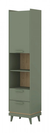 Шкаф книжный на 1 дверь с 2 ящиками Helvetia SCANDI 24D5OH88 (зеленый / дуб)