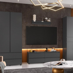 Комплект в гостиную EVR- Лайт-1 графит