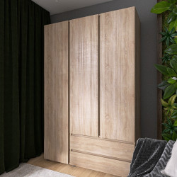 Шкаф распашной на 3 двери и 2 шухляды EVR- Лайт ШЛ-3 дуб Сонома