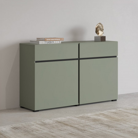 Комод на 2 двери и 2 ящика Helvetia CROSS 24GWMY45 (дымчатый зеленый- черный)