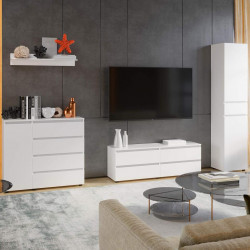 Комплект в гостиную EVR- Лайт-2 белый (нимфея альба)