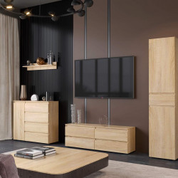 Комплект в гостиную EVR- Лайт-2 дуб Сонома