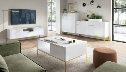 Тумба под телевизор Perfect Home Новая/Nova 1-дверная с 2 ящиками, черные ножки RTV154 Белый