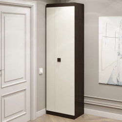 Шкаф распашной на 2 двери EVR- Соната-600 венге + фасад белый