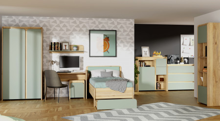 Шкаф на 2 двери Forte HOA HOAS821 (дуб маувелла/шалфей)