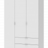 Шкаф для одежды DRS- Гелар (203,4x49,5x116,2 см) 3 дв 