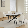 Стол обеденный BIO- Гатвик (черный/ керамика белый)