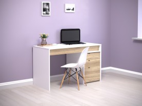 Письменный рабочий стол NTR- Ecoline