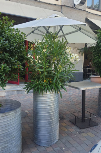 Зонт алюминиевый ZST- ALU 2 х 2 м (алюминиевая стойка)