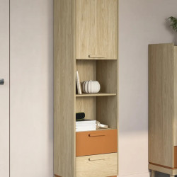 Шкаф книжный на 1 дверь с 2 ящиками Helvetia SCANDI 24D5OH88 (дуб/кирпич)