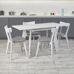 Кухонный комплект Ont- Алонзо 100 Премиум белый раздвижной стол + 4 стула Вито Премиум серые