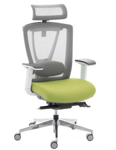 Крісло керівника LUX- ERGO CHAIR 2 GREEN ергономічне