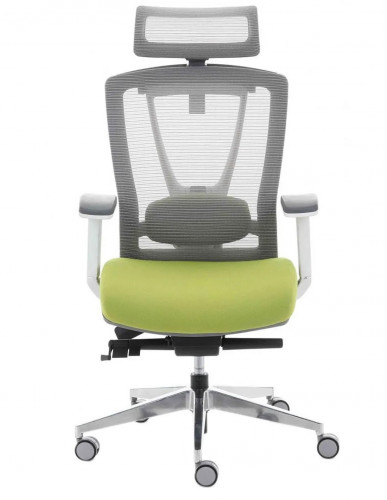 Крісло керівника LUX- ERGO CHAIR 2 GREEN ергономічне