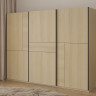 Шкаф-купе Helvetia CUBE 24LGOF69 (Дуб Линдберга)
