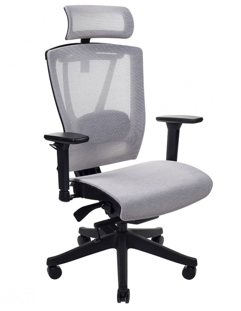 Крісло керівника LUX- ERGO CHAIR 2 MESH BLACK/ BEIGE ергономічне