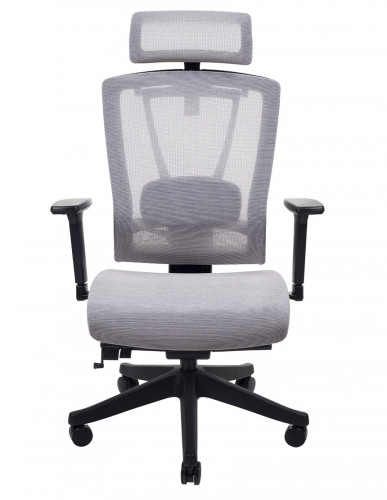 Крісло керівника LUX- ERGO CHAIR 2 MESH BLACK/ BEIGE ергономічне