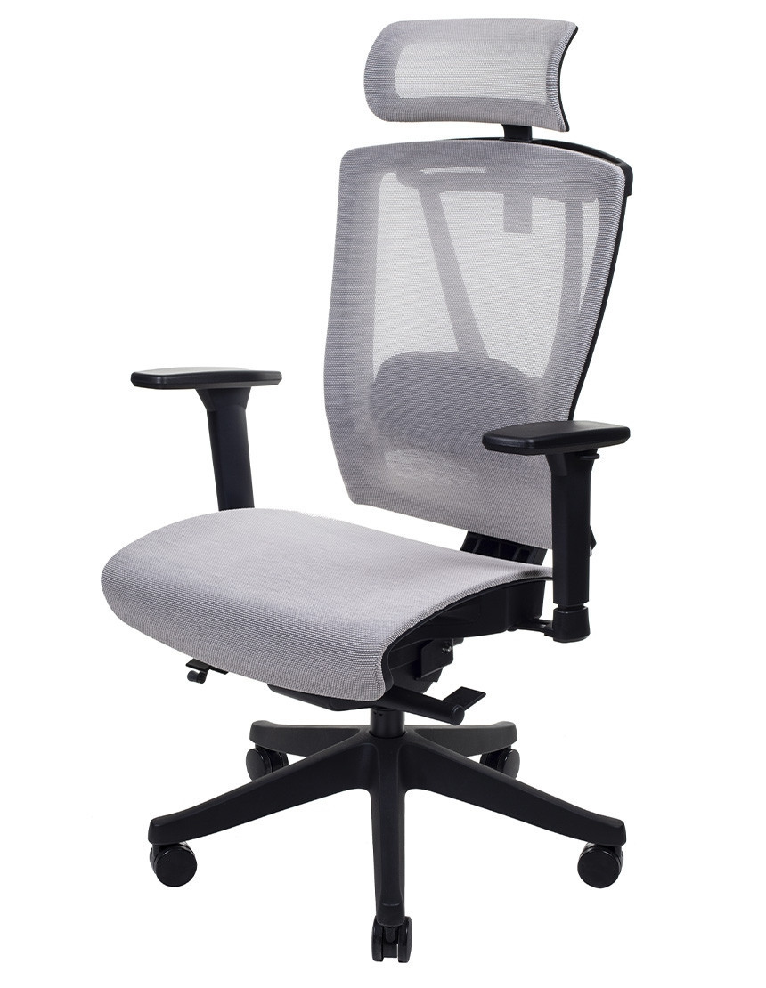 Крісло керівника LUX- ERGO CHAIR 2 MESH BLACK/ BEIGE ергономічне