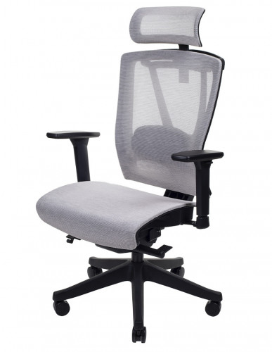 Крісло керівника LUX- ERGO CHAIR 2 MESH BLACK/ BEIGE ергономічне