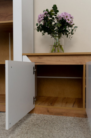 Комплект в гостиную EVR- Нордик-2 дуб крафт золотой + фасад белый