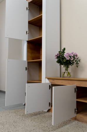 Комплект в гостиную EVR- Нордик-2 дуб крафт золотой + фасад белый