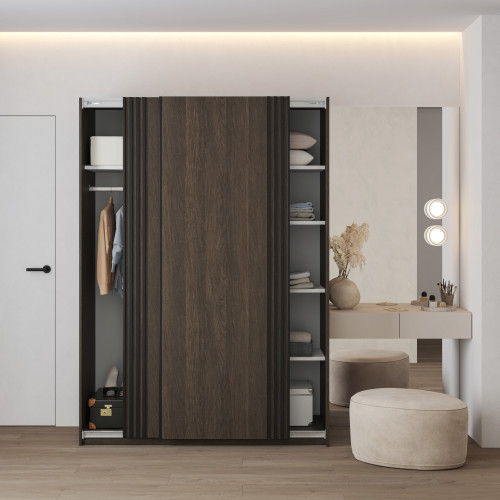 Шкаф-купе Helvetia NIVA 24DWOE15 (дуб Дунин/черный матовый)