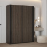 Шкаф-купе Helvetia NIVA 24DWOE15 (дуб Дунин/черный матовый)