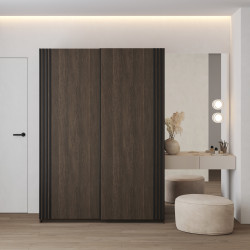 Шкаф-купе Helvetia NIVA 24DWOE15 (дуб Дунин/черный матовый)