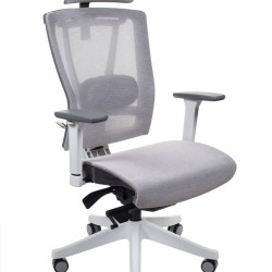 Крісло керівника LUX- ERGO CHAIR 2 MESH WHITE/ BEIGE ергономічне