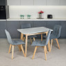 Кухонный комплект Ont- Алонзо 100 раздвижной стол серый + 4 стула Дарио