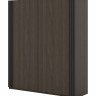 Шкаф-купе Helvetia NIVA 24DWOE16 (дуб Дунин/черный матовый)