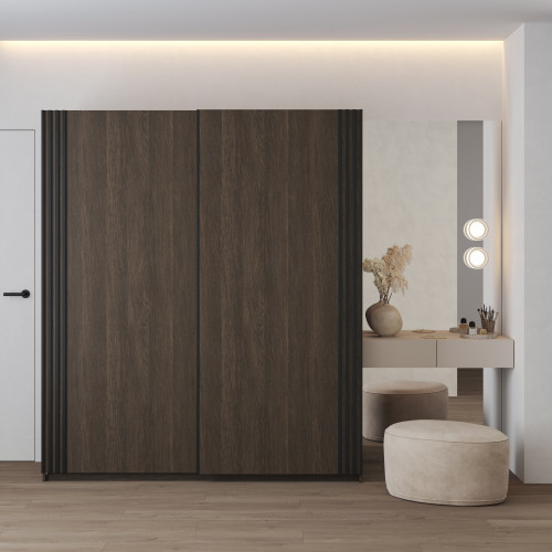 Шкаф-купе Helvetia NIVA 24DWOE16 (дуб Дунин/черный матовый)