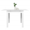 Фото №3 - IDEA обеденный стол COBURG 80 белый