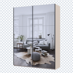 Шкаф - купе DRS- G-Caiser (180х60х240 см) 2 Зеркало 3 части двери Кашемир