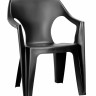 Стул пластиковый ECO- Keter Dante low back
