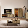 Тумба под телевизор с подсветкой Perfect Home Уилсон / Wilson 2-дверная 2D/163 Дуб эвок