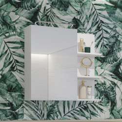 Шкаф настенный на 1 дверь с зеркалом для ванной Helvetia IRVINE 309WNP20 (белый)