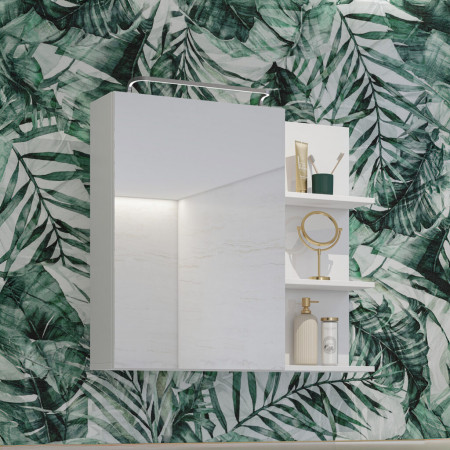 Шкаф настенный на 1 дверь с зеркалом для ванной Helvetia IRVINE 309WNP20 (белый)