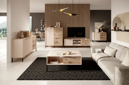 Комод Perfect Home Рейв / Rave 2-дверный с 3 ящиками 2D3S/153 Беж/викинг