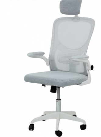 Стул компьютерный BIO- Тонус (белый/серый)   