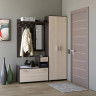 Прихожая + Шкаф ШП-1 EVR- Тандем венге + дуб молочный