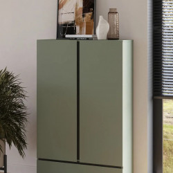 Шкаф на 2 двери с 1 ящиком  Helvetia CROSS S 24GWMY38 (дымчатый зеленый/черный)