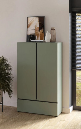 Шкаф на 2 двери с 1 ящиком  Helvetia CROSS S 24GWMY38 (дымчатый зеленый/черный)