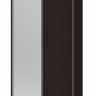 Шкаф - купе DRS- Сити Лайт (120х60х225 см) ДСП + Зеркало 