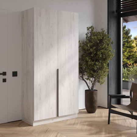 Шкаф на 2 двери и гладильное отделение ViA- Сити С-6