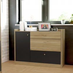 Комод на 1 дверь и 3 ящика Forte COXIM CXMK221L (дуб Маувелла/черный)