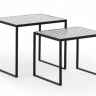 Фото №1 - Набор из 2-х кофейных столов LFF- TROPICA (металл черный, МДФ черно-белый)