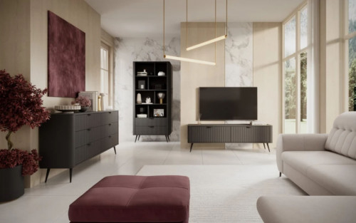 Тумба под телевизор Perfect Home Ланте / Lante 2D/163 (Черный)